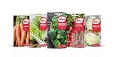 Eurogarden - Pack Semillas Otoño Invierno. Surtido de 5 variedades de semillas para plantar en tu huerto. Brócoli, Acelga, Zanahoria, Rabanito y Lechuga foto / 10,95 €