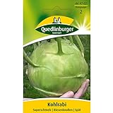 Quedlinburger Kohlrabi Superschmelz,1 Portion foto / 2,12 € (0,01 € / stück)