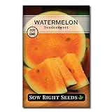 Sow Right Seeds - Orange Tendersweet Watermelon Seed for Planting - Non-GMO Heirloom Packet with Instructions to Plant a Home Vegetable Garden photo / $4.99