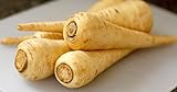 All American Parsnip Seeds, 300 Heirloom Seeds Per Packet, Non GMO Seeds photo / $5.99 ($0.02 / Count)