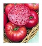 75+ Mortgage Lifter Tomato Seeds- Heirloom Variety- by Ohio Heirloom Seeds photo / $5.79