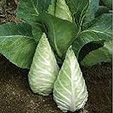 Caraflex Cabbage Seeds (20+ Seeds) | Non GMO | Vegetable Fruit Herb Flower Seeds for Planting | Home Garden Greenhouse Pack photo / $3.69 ($0.18 / Count)