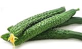 Cucumber Seeds for Planting Vegetables and Fruits-Asian Suyo Long Cucumber Plant Seeds,Burpless Non GMO Garden Seeds Vegetable Seeds,Oriental Chinese Cucumber Seeds-11ct Veggie Seeds China Long Hybrid photo / $3.86 ($0.35 / Count)