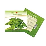 Topf-Zuckererbsen Norli Samen - Pisum sativum - Erbsensamen - Gemüsesamen - Saatgut für 55 Pflanzen foto / 2,49 € (0,05 € / stück)
