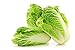 photo Peking Cabbage Seeds for Planting Chinees Beijing Napa Lettuce About 100 Seeds