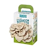 Back to the Roots Organic Mini Mushroom Grow Kit, Harvest Gourmet Oyster Mushrooms In 10 days, Top Gardening Gift, Holiday Gift, & Unique Gift photo / $12.94