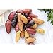 photo Simply Seed - 10 Piece - Fingerling Potato Seed Mix - Non GMO - Naturally Grown - Order Now for Spring Planting