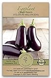 Gaea's Blessing Seeds - Eggplant Seeds (200 Seeds) Black Beauty Heirloom Non-GMO Seeds with Easy to Follow Planting Instructions - 92% Germination Rate Net Wt. 1.0g photo / $5.99
