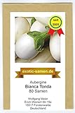 Aubergine - weiß - rund - italienisch - mittelfrüh - Bianca Tonda - 80 Samen foto / 2,39 €