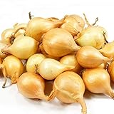 8 Ounces Yellow Onion Sets Sweet Onions Bulb Seed Set Perennial Garden Vegetable Green Plant Bulbs Seeds Permaculture photo / $9.95