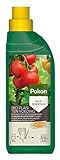 Pokon Bio Pflanzendünger, Flüssigdünger, Bio-Pflanzennahrung für Gemüse und Kräuterpflanzen, 500 ml foto / 5,48 € (10,96 € / l)