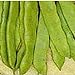 photo Romano Pole Beans Seeds (20+ Seeds) | Non GMO | Vegetable Fruit Herb Flower Seeds for Planting | Home Garden Greenhouse Pack