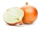 Candy Hybrid Onions Seeds, 50 Seeds Per Packet, Non GMO Seeds, Botanical Name: Allium cepa, Isla's Garden Seeds photo / $6.99 ($0.14 / Count)