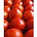 photo Early Girl Tomato - One of The Earliest Tomatoes!!!!!!!!!(25 - Seeds)
