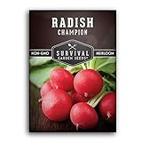 Survival Garden Seeds - Champion Radish Seed for Planting - Packet with Instructions to Plant and Grow Red Radishes in Your Home Vegetable Garden - Non-GMO Heirloom Variety photo / $4.99