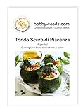 Kürbissamen Tondo Scuro di Piacenza Zucchini Portion foto / 1,75 €