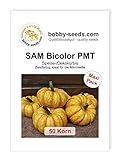 SAM Bicolor PMT Kürbissamen von Bobby-Seeds 50 Korn foto / 4,82 €
