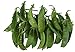 photo Oregon Giant Snow Pea Seeds- 50 Count Seed Pack - Non-GMO - Finest Tasting, Most Vigorous Snow peas. Use Them for Colorful Tasty stir-Fry Recipes or eat raw. - Country Creek LLC