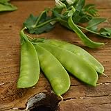 Oregon Sugar Pod II Snow Pea - 50 Seeds - Heirloom & Open-Pollinated Variety, Easy-to-Grow & Cold-Tolerant, Non-GMO Vegetable Seeds for Planting Outdoors in The Home Garden, Thresh Seed Company photo / $7.99 ($0.16 / Count)