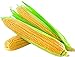 photo David's Garden Seeds Corn Super Sweet GSS1170 (Yellow) 100 Non-GMO, Hybrid Seeds