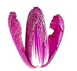 30 Red Chinese Cabbage Seeds - Edible Chinese Cabbage is a Superfood - Ships from Iowa, USA photo / $8.98 ($0.30 / Count)