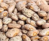 Pinto Beans Seeds, the Most Common Bean in the US 100 Seeds Heirloom ! photo / $4.20 ($0.04 / Count)