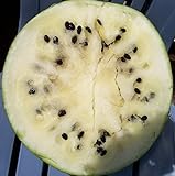 Cream of Saskatchewan Heirloom Watermelon (Certified Organic Seeds) by Stonysoil Seed Company photo / $7.95