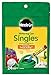 photo Miracle-Gro Watering Can Singles All Purpose Water Soluble Plant Food, Includes 24 Pre-Measured Packets