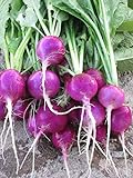 Purple Plum Radish Seeds, 150 Heirloom Seeds Per Packet, Non GMO Seeds photo / $5.99 ($0.04 / Count)