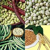 David's Garden Seeds Collection Set Southern Pea (Cowpea) 3333 (Multi) 4 Varieties 400 Non-GMO, Open Pollinated Seeds photo / $16.95 ($4.24 / Count)