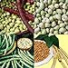 photo David's Garden Seeds Collection Set Southern Pea (Cowpea) 3333 (Multi) 4 Varieties 400 Non-GMO, Open Pollinated Seeds