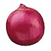 photo Burpee Red Creole Onion Seeds 300 seeds