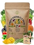 25 Summer Vegetable Garden Seeds Variety Pack for Planting Outdoors and Indoor Home Gardening 2500+ Non-GMO Heirloom Veggie & Salad Green Seeds: Collards Tomato Pepper Okra Onion Bean Cucumber & More photo / $21.99 ($0.88 / Count)