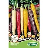 Germisem Rainbow F1 Mix Semillas de Zanahoria 1 g, EC9025 foto / 3,68 €