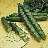 Cucumber, Long Green Improved Seeds, Non-GMO, 25 Seeds per Package,Long Green Improved Cucumber is a Strong, Vigorous Producer . Jacobs Ladder Ent. photo / $1.99 ($1.99 / Count)