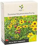 mgc24® Sommerblumenmischung - Blumenmischung für nützliche Insekten ein- & mehrjährig 100g für 100m² foto / 5,99 € (59,90 € / kg)