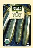 Seeds of Change 5800 Dark Star Zucchinie, Green photo / $7.99