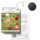 Klatschmohn Samen (Papaver rhoeas) - Wunderschön blühende Mohnblumen mit langer Blütezeit für eine bunte Blumenwiese (Mix) foto / 4,90 €