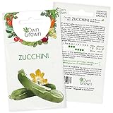 Zucchini Samen: Premium Zucchini Saatgut für die Anzucht von ca. 5 Zucchini Pflanzen – Samenfeste Gemüse Samen – Samen Gemüse – Gemüse Pflanzen Samen für Gemüse Anzucht – Gemüse Saatgut von OwnGrown… foto / 2,35 €