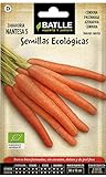 Semillas Ecológicas Hortícolas - Zanahoria Nantesa 5 - ECO - Batlle foto / 1,76 €