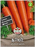 Sperli Premium Möhren Samen Rote Riesen 2 ; Große kegelförmige Rüben ; Karotten Samen für ca. 1000 Karotten foto / 2,17 €