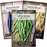Sow Right Seeds - Tri Color Bush Bean Seed Collection for Planting - Individual Packets Contender, Royal Burgundy and Golden Wax Bush Beans, Non-GMO Heirloom Seeds to Plant a Home Vegetable Garden… photo / $9.99