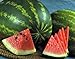 photo Watermelon, Jubilee , Heirloom, 20 Seeds, Large, Sweet N Delicious