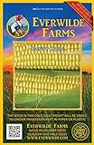 Everwilde Farms - 100 Kandy Korn Hybrid Sweet Corn Seeds - Gold Vault Jumbo Seed Packet photo / $3.96