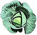photo Cabbage Bravo F1 Seeds - Vegetable Seeds Package (1000)
