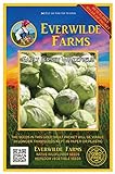 Everwilde Farms - 500 Early Jersey Wakefield Cabbage Seeds - Gold Vault Jumbo Seed Packet photo / $2.98