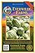 photo Everwilde Farms - 500 Early Jersey Wakefield Cabbage Seeds - Gold Vault Jumbo Seed Packet