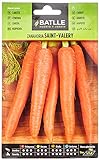 Zanahoria SAINT VALERY foto / 1,60 €