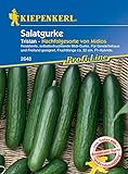 Kiepenkerl 2648 Salatgurke Tristan F1, resistente selbstbefruchtende Midi-Gurke, für Gewächshaus und Freiland geeignet, Fruchtlänge ca. 22 cm foto / 5,99 €
