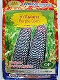 Thai Purple Waxy Glutinous Corn Seeds photo / $6.99 ($13.19 / Ounce)